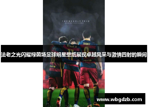 法老之光闪耀绿茵场足球明星壁纸展现卓越风采与激情四射的瞬间 法老之光闪耀绿茵场足球明星壁纸展现卓越风采与激情四射的瞬间