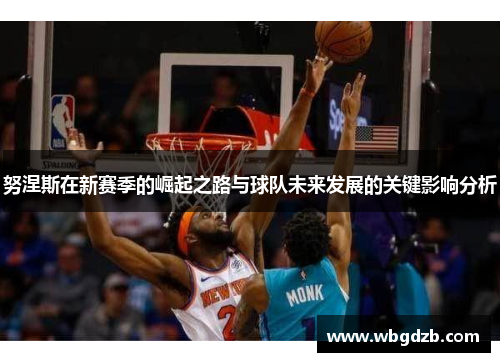 努涅斯在新赛季的崛起之路与球队未来发展的关键影响分析